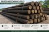 Wooden Treated Poles Creosote