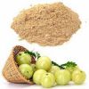 Amla Fruit Powder