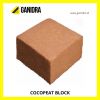 COCOPEAT BLOCK Sale Offer