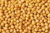 Soybeans