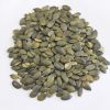 Pumpkin Seeds New Crop Best Price Organic GWS Pumpkin Seeds Kernels Wholesale