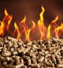 Premium Quality Wood Pellets Bulk Supplier High Energy Fuel Eco Friendly Biomass Pellets for Heating and Industry