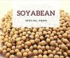 SOYBEANS SUPPLIERS