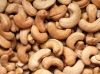 Cashew Nuts Raw Cashew Nuts Dried Raw Cashew Nuts