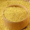 Yellow Millet Broom Corn Millet for Bird Feed