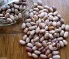 pinto beans