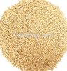 Yellow millet