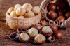 macadamia nuts