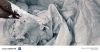 Silicone Rubber