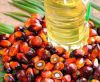 CRUDE PALM KERNEL OIL