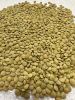 Quality Green and Red Lentils In EU Stock, Ready to Ship