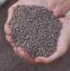 Diammonium Phosphate DAP