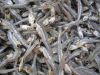 Dried Anchovy Fish / Dried Sprat Anchovy