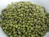 Green Mung Beans