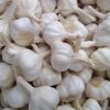Buy Export Organic Fresh Pure White Garlic 4.5-5.5 / 20kg Woven Bag Packaging Price