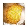 Dried Yellow Corn / Dried Yellow Maize
