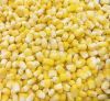 sell frozen sweet corn kernels