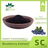 Professional Supplier of Fruit & Vegetable Powder, Natural Anthocyanin