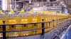 High-quality Refined Sunflower Oil