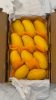 Grade-A Premium Pakistani Mangoes - Sindhri, Chaunsa and Anwar Ratol Export Quality