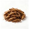 Why Dried Grasshoppers Are Replacing Raw Beef in Premium Pet Food