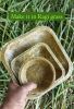 Export Quality Biodegradable Bagasse Plates for Dubai - 6, 7, 10 inch