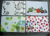 New design plastic placemat table mat