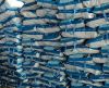 Sell washing powder