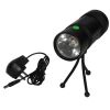 Waterproof Dual LED Light Fishing Torch white and blue light Flashligh