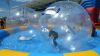 Sell Aqua zorbing Water Ball