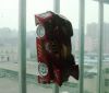 Sell wall climber, wall climbing car, remote car, remote toy