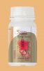 SELL Hoodia Slimming Capsules 450 mg