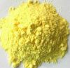 Egg Yolk Powder