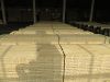 Sell pine lvl scaffold planks