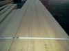 siberian larch saw timber
