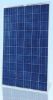 POLY Solar Panel 230 to 245W