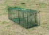 Collapsible Raccoon Skunk Fox Trap