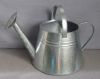 Galvanized Watering Can