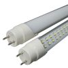 Sell T8 led tube light 900mm