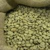 ROBUSTA GREEN COFFEE