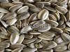 Sell hulled sunflower seeds