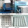 egg tray machine