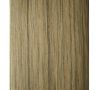 Sell red oak dyed veneer