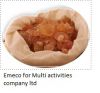 Sell Gum Arabic