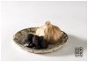 Sell Black Garlic