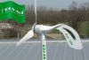 Sell small wind turbine generator 300w