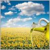 Export Refined Sunflower Oil | Pure Sunflower Oil Suppliers | Crude Sunflower Oil Exporters | Refined Sunflower Oil Traders | Raw Sunflower Oil Buyers | Pure Sunflower Oil Wholesalers | Low Price Sunflower Oil | Best Buy Sunflower Oil | Buy Sunflower Oil 