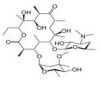 Erythromycin