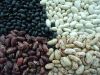 Sell Kidney Beans