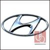 Sell Bobang Chrome Hyundai logo for auto car dealer